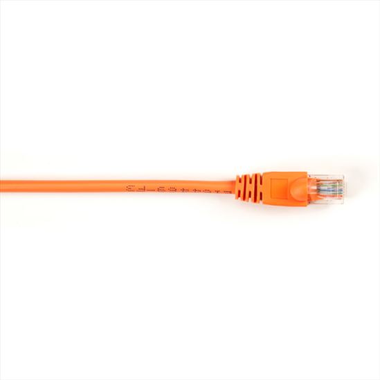 Black Box Value Line Cat5e 3ft networking cable Orange 35.4" (0.9 m)1