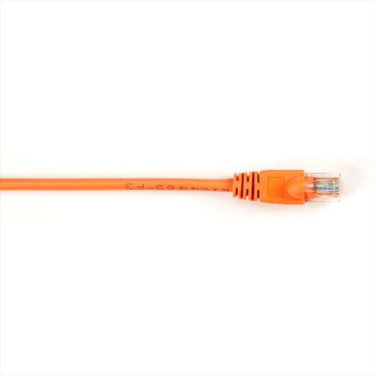 Black Box CAT5e Patch 1.5m networking cable Orange 59.1" (1.5 m)1