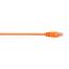 Black Box 0.3m Cat6 networking cable Orange 11.8" (0.3 m)1