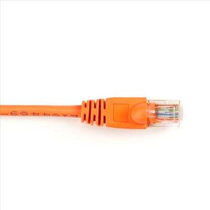 Black Box 2.1m Cat6 networking cable Orange 82.7" (2.1 m)1