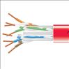 Black Box CAT6, 1000 ft networking cable Red 12007.9" (305 m) U/UTP (UTP)1