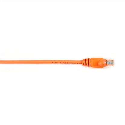 Black Box CAT6PC-006-OR networking cable Orange 70.9" (1.8 m) Cat6 U/UTP (UTP)1