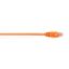 Black Box CAT6PC-006-OR networking cable Orange 70.9" (1.8 m) Cat6 U/UTP (UTP)1
