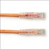 Black Box 2ft Cat5e UTP networking cable Orange 23.6" (0.6 m) U/UTP (UTP)2