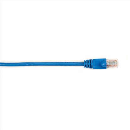 Black Box CAT6PC-004-BL networking cable Blue 47.2" (1.2 m) Cat6 U/UTP (UTP)1