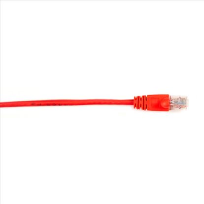 Black Box CAT6PC-004-RD networking cable Red 47.2" (1.2 m) Cat6 U/UTP (UTP)1