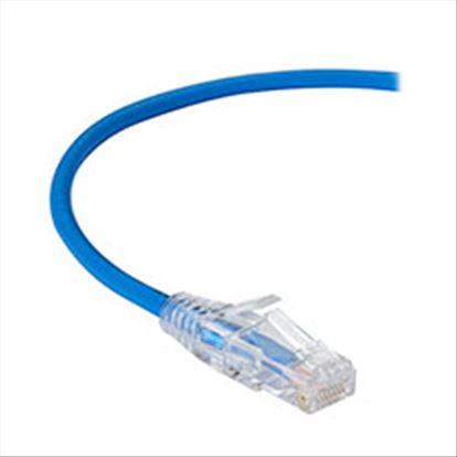 Black Box C6APC28-BL-01 networking cable Blue 11.8" (0.3 m) Cat6a U/UTP (UTP)1