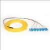 Black Box FOPT50S1-SC-12YL-3 fiber optic cable 118.1" (3 m) Pigtail OS1 Yellow1