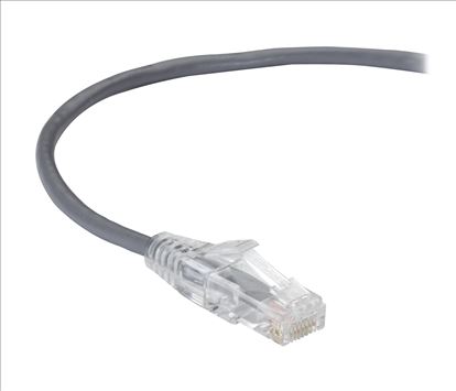 Black Box CAT6A 0.3m networking cable Gray 11.8" (0.3 m) U/UTP (UTP)1