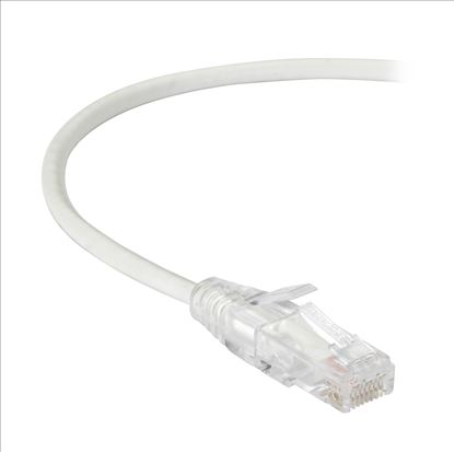 Black Box CAT6 0.3m networking cable White 11.8" (0.3 m) U/UTP (UTP)1