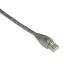 Picture of Black Box GigaTrue CAT6 UTP 9.1 m networking cable Gray 358.3" (9.1 m) U/UTP (UTP)