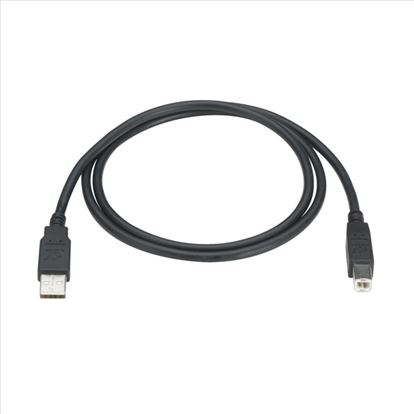 Black Box USB 2.0 A-B 3.9m USB cable 153.5" (3.9 m) USB A USB B1