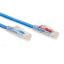 Picture of Black Box Cat6 UTP 0.6m networking cable Blue 23.6" (0.6 m) U/UTP (UTP)