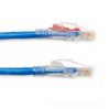 Black Box Cat6 UTP 30.4m networking cable Blue 1196.9" (30.4 m) U/UTP (UTP)4