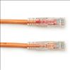 Black Box GigaTrue 3 CAT6 1ft networking cable Orange 11.8" (0.3 m) U/UTP (UTP)2