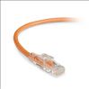 Black Box GigaTrue 3 CAT6 100ft networking cable Orange 1196.9" (30.4 m) U/UTP (UTP)1