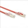 Black Box C6PC70S-RD-02 networking cable Red 23.6" (0.6 m) Cat62