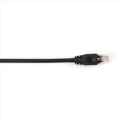 Black Box CAT5EPC-002-BK networking cable 23.6" (0.6 m) Cat5e1