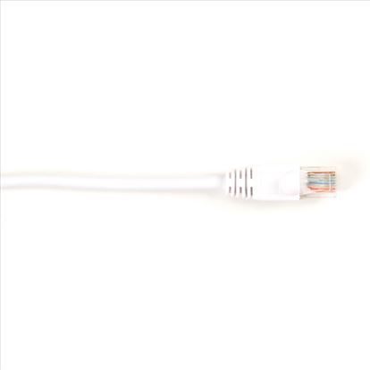 Black Box CAT5EPC-002-WH networking cable White 23.6" (0.6 m) Cat5e U/UTP (UTP)1