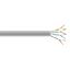 Black Box C6-CMP-SLD-GY networking cable Gray 12007.9" (305 m) Cat6 U/UTP (UTP)1