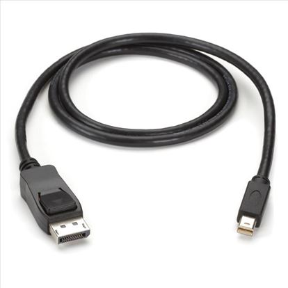 Black Box Mini DisplayPort - DisplayPort, 10-ft 118.1" (3 m)1