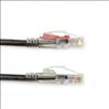 Black Box Cat6 1.5m UTP networking cable 59.1" (1.5 m) U/UTP (UTP)3