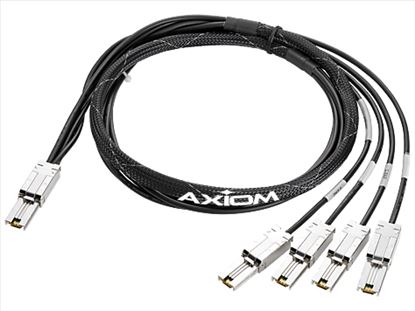 Axiom Mini-SAS - 4x1 Mini-SAS, 4m 157.5" (4 m) Black1