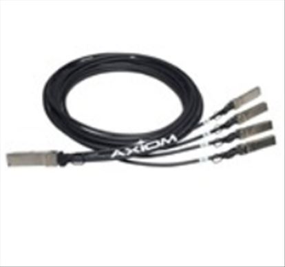 Axiom JG330A-AX networking cable Black 118.1" (3 m)1