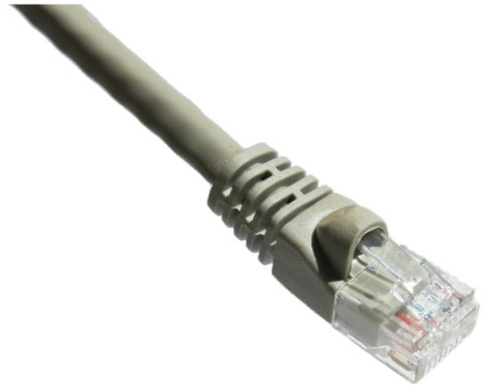 Axiom 50ft. 350MHz Cat5e networking cable Gray 600" (15.2 m) U/UTP (UTP)1