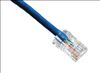 Axiom C5ENB-B1-AX networking cable Blue 11.8" (0.3 m) Cat5e U/UTP (UTP)1