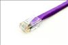 Axiom Cat6, 1ft networking cable Purple 11.8" (0.3 m) U/UTP (UTP)1