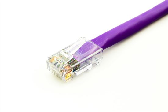 Axiom Cat6, 14ft networking cable Purple 168.1" (4.27 m) U/UTP (UTP)1