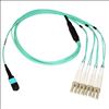 Axiom MPO/4x LC, OM3 Fiber Optic, 5m fiber optic cable 196.9" (5 m) MPO/MTP Blue1