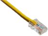 Axiom 50ft. 350MHz Cat5e networking cable Yellow 600" (15.2 m) U/UTP (UTP)1