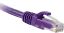 eNet Components Cat5e, 8ft networking cable Purple 96" (2.44 m)1