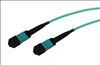 eNet Components MTPF2XO-OM4-20M-ENC fiber optic cable 787.4" (20 m) MPO/MTP Aqua color1