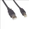 Picture of eNet Components USB2.0MAMB-6F-ENC USB cable 71.7" (1.82 m) USB 2.0 USB A USB B Black