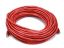 Monoprice 75ft. Cat6 UTP networking cable Red 900" (22.9 m) U/UTP (UTP)1