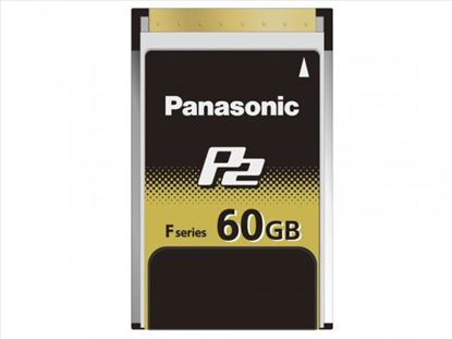 Panasonic AJ-P2E060FG memory card 60 GB1