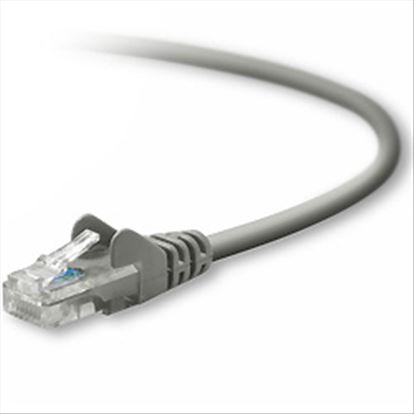 Belkin RJ45 Cat5e Patch Cable, Snagless Molded, 4.2m networking cable 165.4" (4.2 m) U/UTP (UTP)1