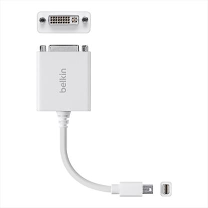 Belkin F2CD051B cable gender changer Apple mini-DisplayPort 1 x 24 pin digital DVI White1