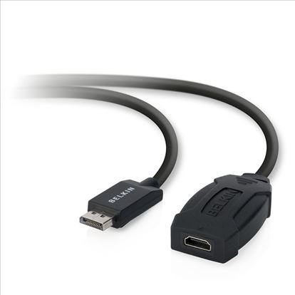 Belkin F2CD004B video cable adapter DisplayPort HDMI Black1