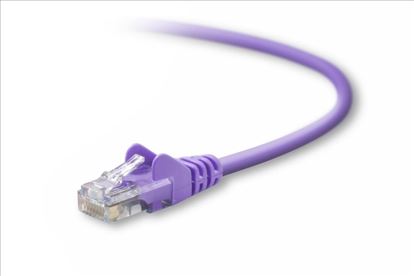 Belkin Cat5e, 25ft, 1 x RJ-45, 1 x RJ-45, Purple networking cable 300" (7.62 m)1