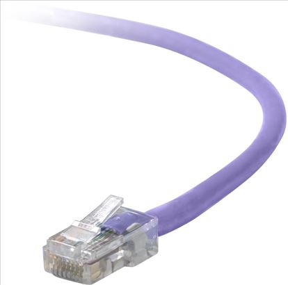 Belkin Cat5e, 2ft, 1 x RJ-45, 1 x RJ-45, Purple networking cable 23.6" (0.6 m)1