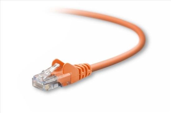 Belkin Cat5e, 10ft, 1 x RJ-45, 1 x RJ-45, Orange networking cable 118.1" (3 m)1