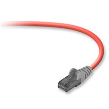 Belkin CAT6 Snagless Crossover Patch Cable networking cable Red 11.8" (0.3 m)1