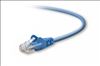 Belkin Cat5e, 2ft, 1 x RJ-45, 1 x RJ-45, Blue networking cable 23.6" (0.6 m)1