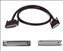 Belkin External SCSI III Ultrafast and Wide Cable 30 ft SCSI cable Black 360" (9.14 m)1