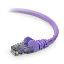 Picture of Belkin Cat.6 Patch Cable - 3ft networking cable Purple 35.4" (0.9 m)