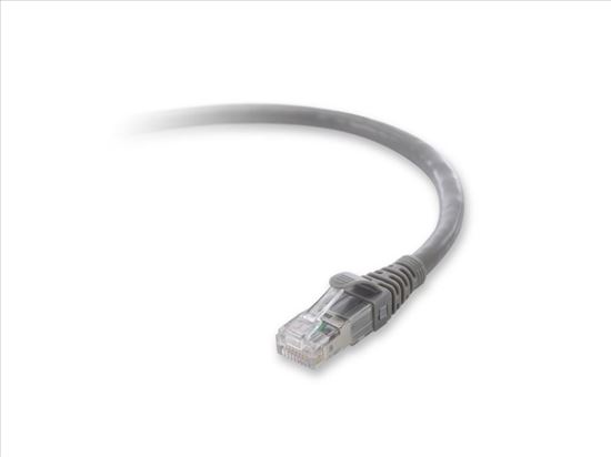 Belkin Cat.6a Patch Cord, 1 x RJ-45 Male, 1 x RJ-45 Male, 1ft, Gray networking cable 11.8" (0.3 m)1